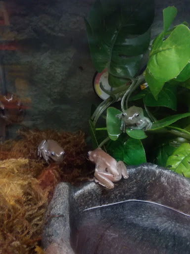 Pet Supply Store «Petco Animal Supplies», reviews and photos, 975 NW Gilman Blvd E, Issaquah, WA 98027, USA