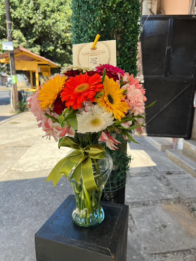 Floreria Rosy OFICIAL – Puerto Vallarta