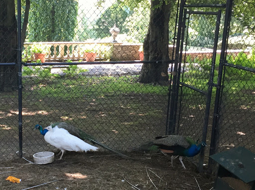 Garden «Wethersfield Farm», reviews and photos, 88 Wethersfield Way, Amenia, NY 12501, USA