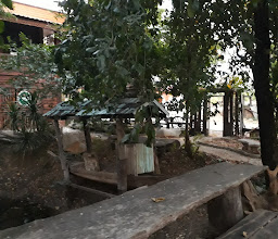 เมทินี photo