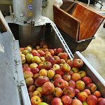 Photo n°9 de l'avis de Lena.e fait le 24/10/2021 à 07:58 sur le  Mosterei Ockensen/Scheunencafe à Salzhemmendorf