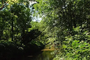 Pecatonica River Forest Preserve image