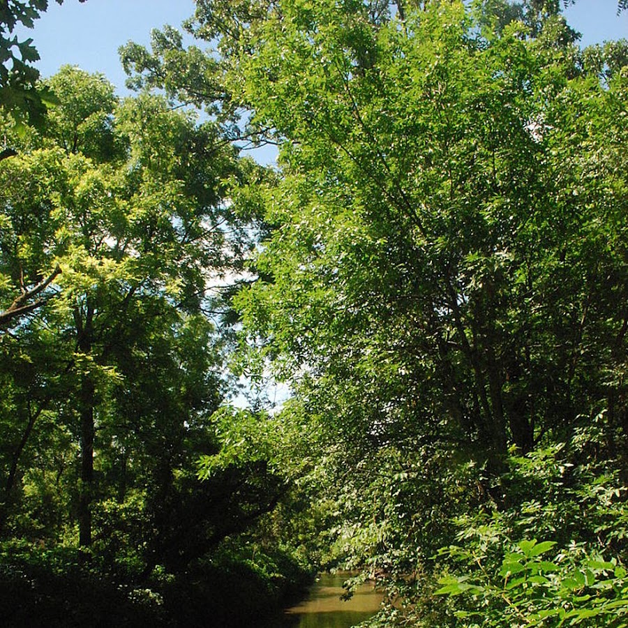 Pecatonica River Forest Preserve