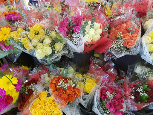 Department Store «Target», reviews and photos, 15300 Grove Circle North, Maple Grove, MN 55369, USA