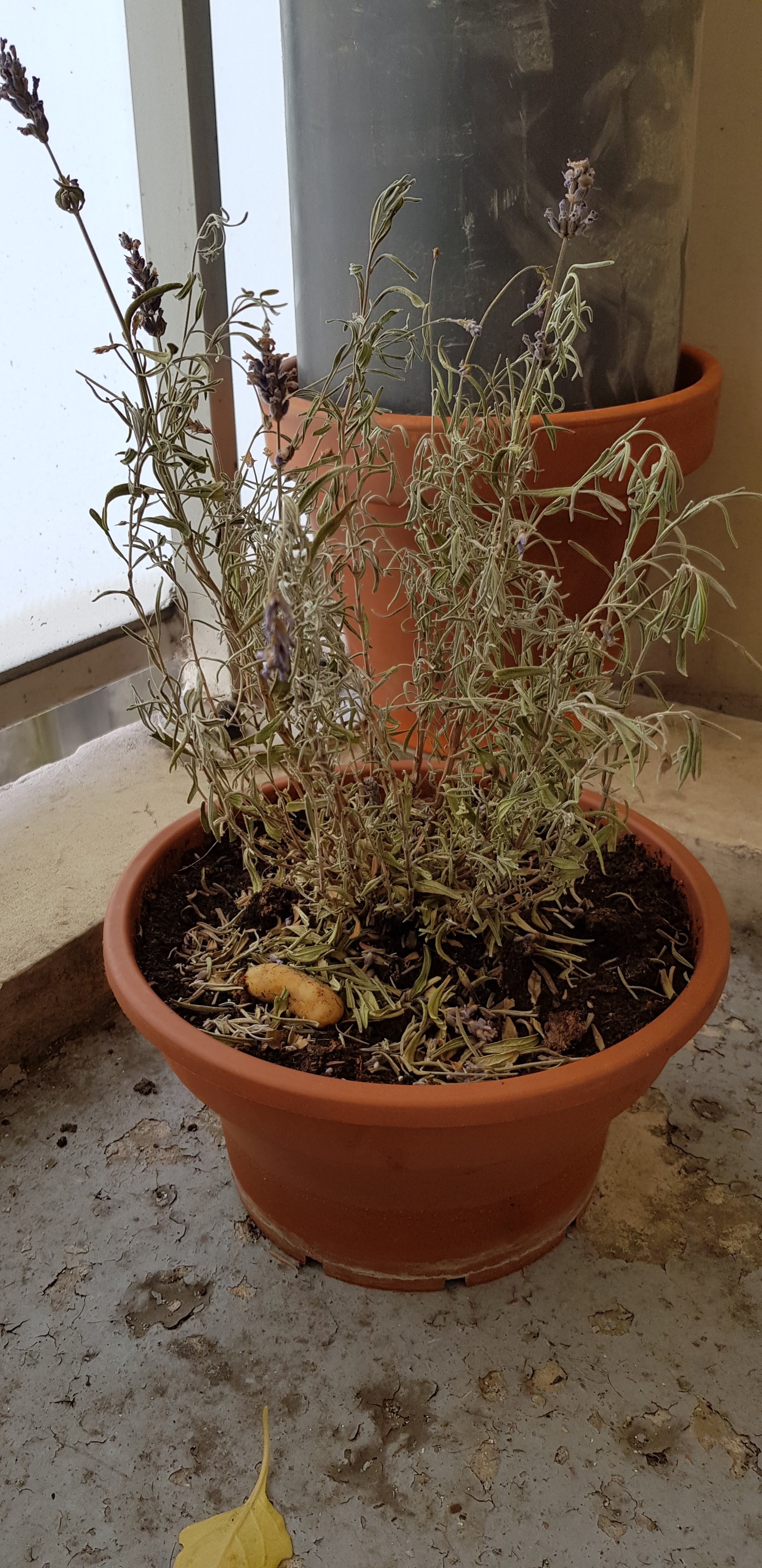 Photo n° 3 de l'avis de Jean-Luc.I fait le 04/08/2018 à 20:44