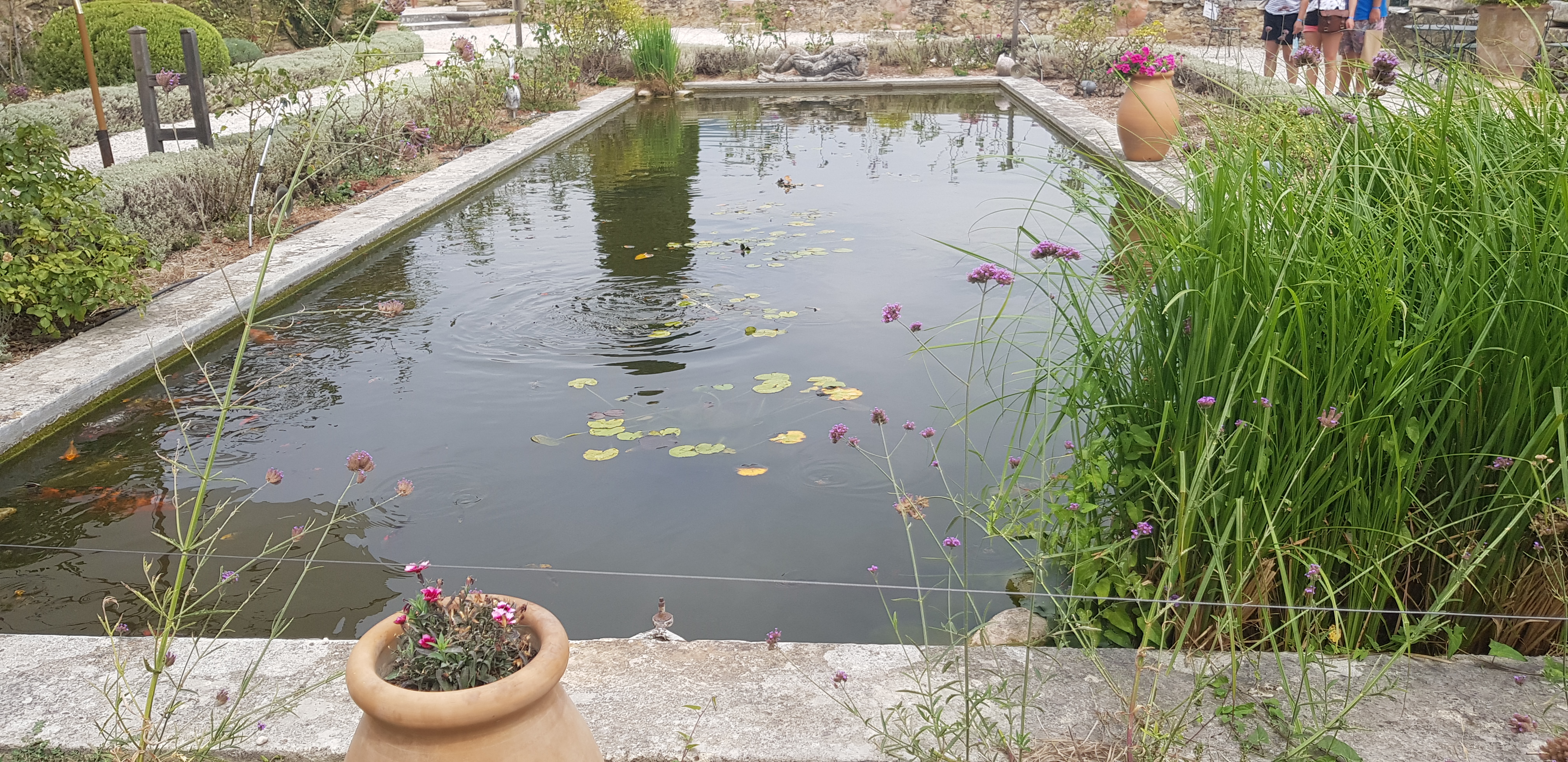 Photo n° 31 de l'avis de kupczyk.i fait le 13/08/2020 à 07:56