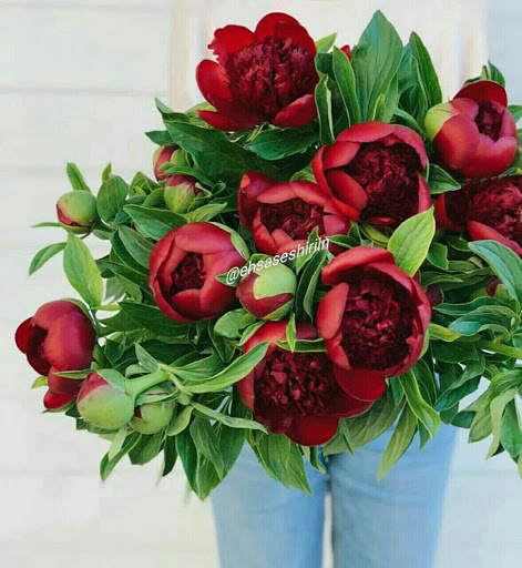 Wine Store «Woodland Hills Wine Company», reviews and photos, 22622 Ventura Blvd, Woodland Hills, CA 91364, USA