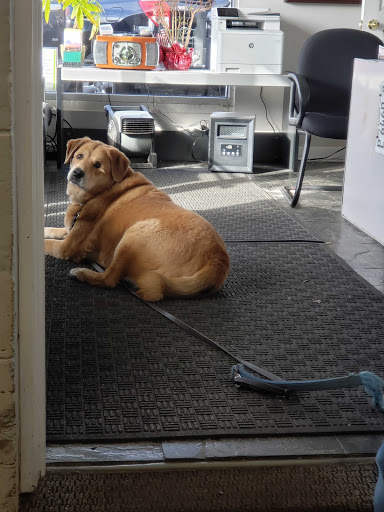 Car Dealer «Auto Outpost North Inc», reviews and photos, 4710 W Elm St, McHenry, IL 60050, USA