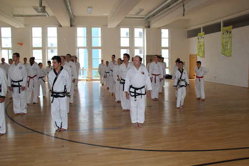 Taekwondo-Institut Berlin