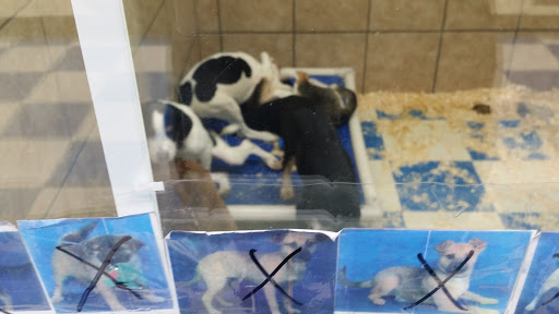 Pet Supply Store «Pets Plus - Bensalem», reviews and photos, 1336 Bristol Pike, Bensalem, PA 19020, USA