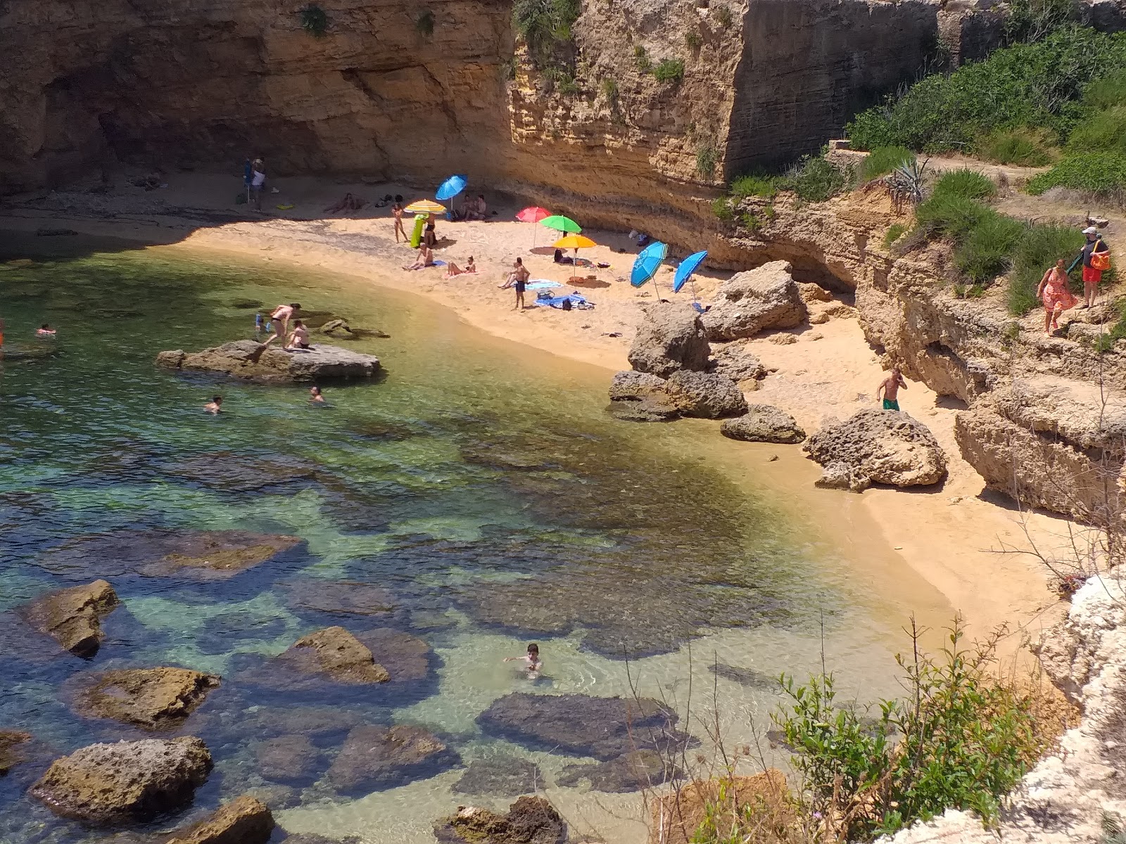 Spiaggia Massolivieri的照片 带有碧绿色纯水表面