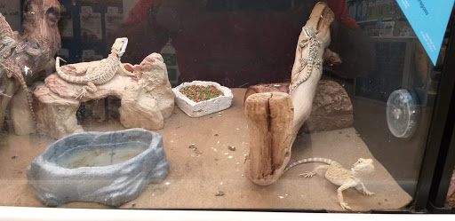 Pet Supply Store «PetSmart», reviews and photos, 7850 W Commercial Blvd, Lauderhill, FL 33351, USA