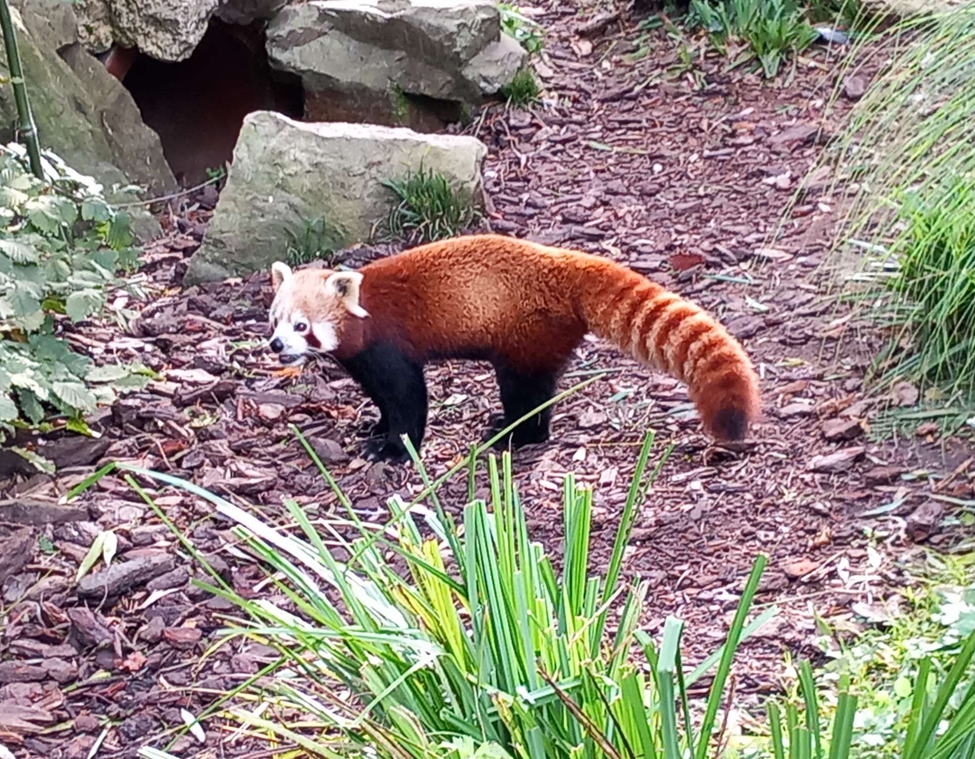 Photo n° 25 de l'avis de Julien.a fait le 11/10/2023 à 18:47