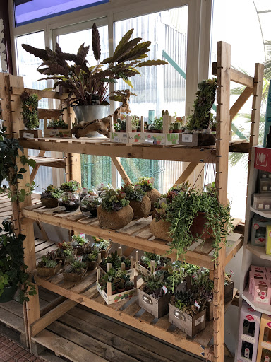 Vernatura Centro de jardinería y Huertos urbanos