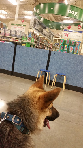 Pet Supply Store «PetSmart», reviews and photos, 1403 E Washington Ave, Union Gap, WA 98903, USA