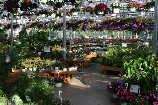 Garden Center «Blooms at Belle Mead», reviews and photos, 1980 US-206, Belle Mead, NJ 08502, USA