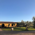 Photo n°2 de l'avis de Elisabetta.a fait le 12/07/2022 à 12:08 sur le  Osteria Caccia al Piano à Bolgheri I