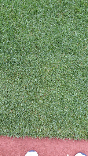 Baseball Field «Oriole Park at Camden Yards», reviews and photos, 333 W Camden St, Baltimore, MD 21201, USA