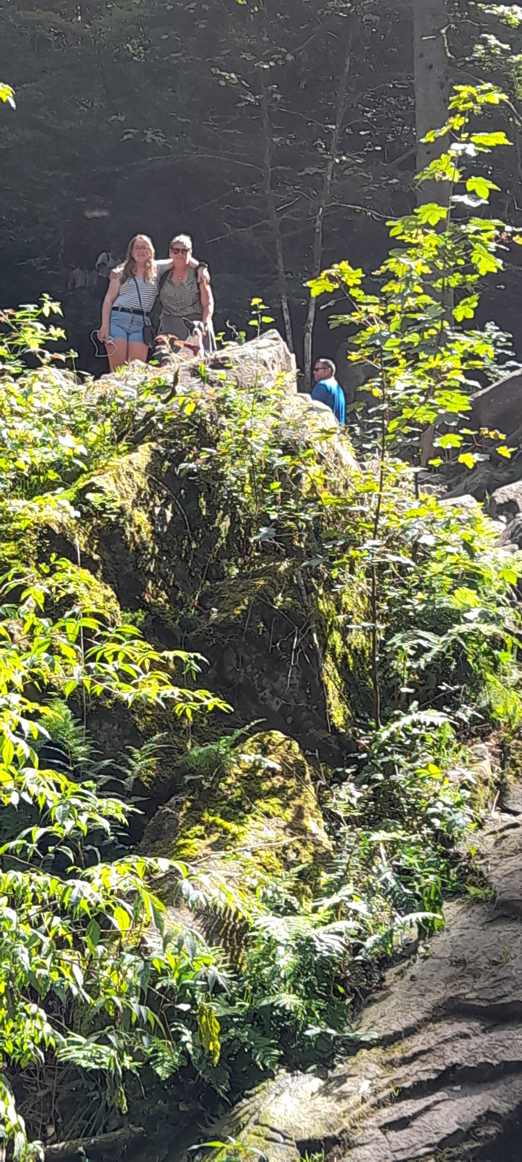 Photo n° 2 de l'avis de Philippe.e fait le 10/08/2021 à 15:47