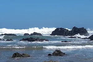 Whale Beach image