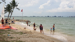 East Coast Beach II'in fotoğrafı düz ve uzun ile birlikte
