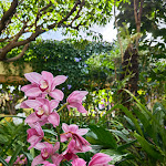 Photo n°7 de l'avis de Milla. fait le 08/03/2024 à 21:41 sur le  Hotel Porto Mare à Funchal