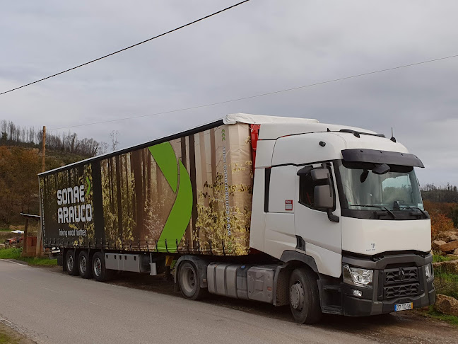 Transportes Carjotrans, Lda. - Serviço de transporte