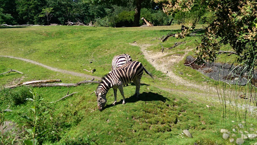 Zoo «Seattle Rotary Education Center», reviews and photos, Zoo acrd., Seattle, WA 98103, USA