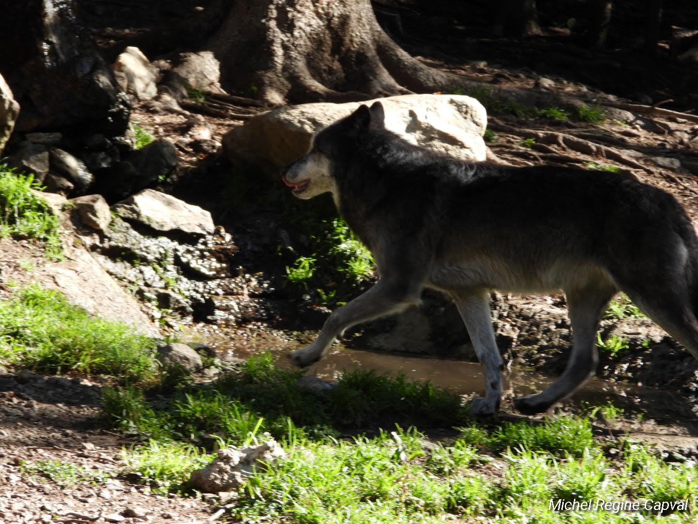 Photo n° 15 de l'avis de michel.a fait le 03/10/2019 à 13:25