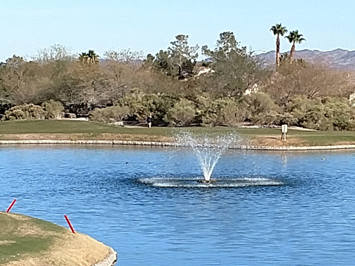 Golf Course «Desert Willow Golf Course», reviews and photos, 2020 W Horizon Ridge Pkwy, Henderson, NV 89012, USA