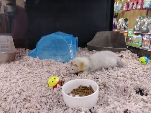 Pet Supply Store «Petco Animal Supplies», reviews and photos, 2421 Cranberry Hwy #206, Wareham, MA 02571, USA