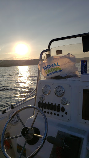 Convenience Store «Royal Farms», reviews and photos, 1336 Jacob Tome Memorial Hwy, Port Deposit, MD 21904, USA