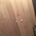 Photo n°2 de l'avis de FaTen.e fait le 27/04/2019 à 15:20 sur le  Munich Inn Design Hotel à Munich