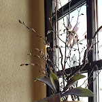 Photo n°2 de l'avis de Christiane.� fait le 17/04/2019 à 13:02 sur le  Klosterklause à Oschatz