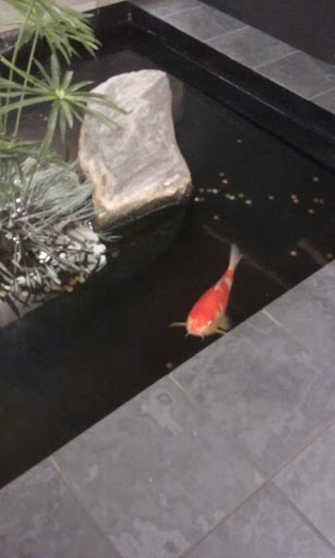 Shopping Mall «Breton Village Shopping Center», reviews and photos, 1814 Breton Rd SE, Grand Rapids, MI 49506, USA