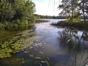 Bertram Chain of Lakes Regional Park