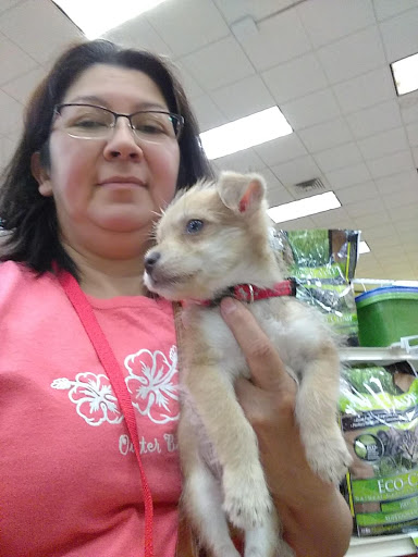 Pet Supply Store «Pet Supermarket», reviews and photos, 6701 E Independence Blvd, Charlotte, NC 28212, USA