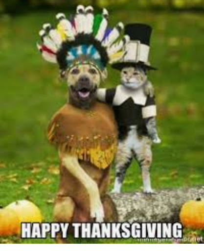 Pet Supply Store «Animal Krackers Inc», reviews and photos, 232 Main St, Gloucester, MA 01930, USA