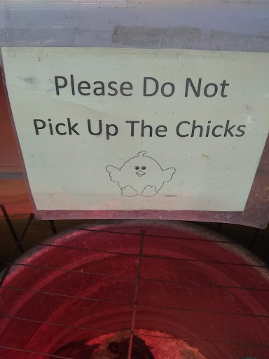 Pet Supply Store «Western Ranch & Pet Supply», reviews and photos, 103 Aegean Way, Vacaville, CA 95687, USA