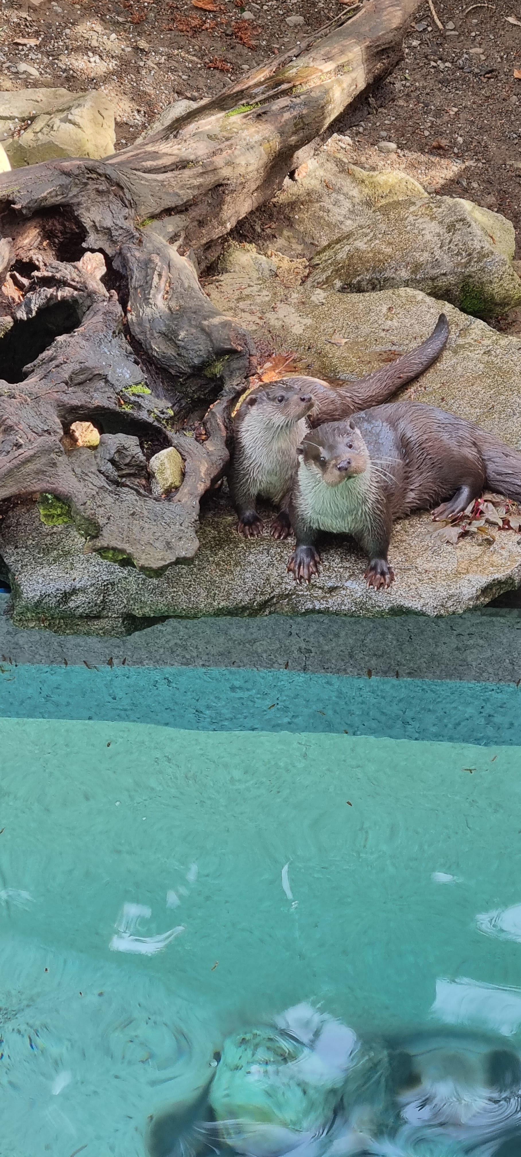 Photo n° 23 de l'avis de Anne.a fait le 25/04/2022 à 13:04