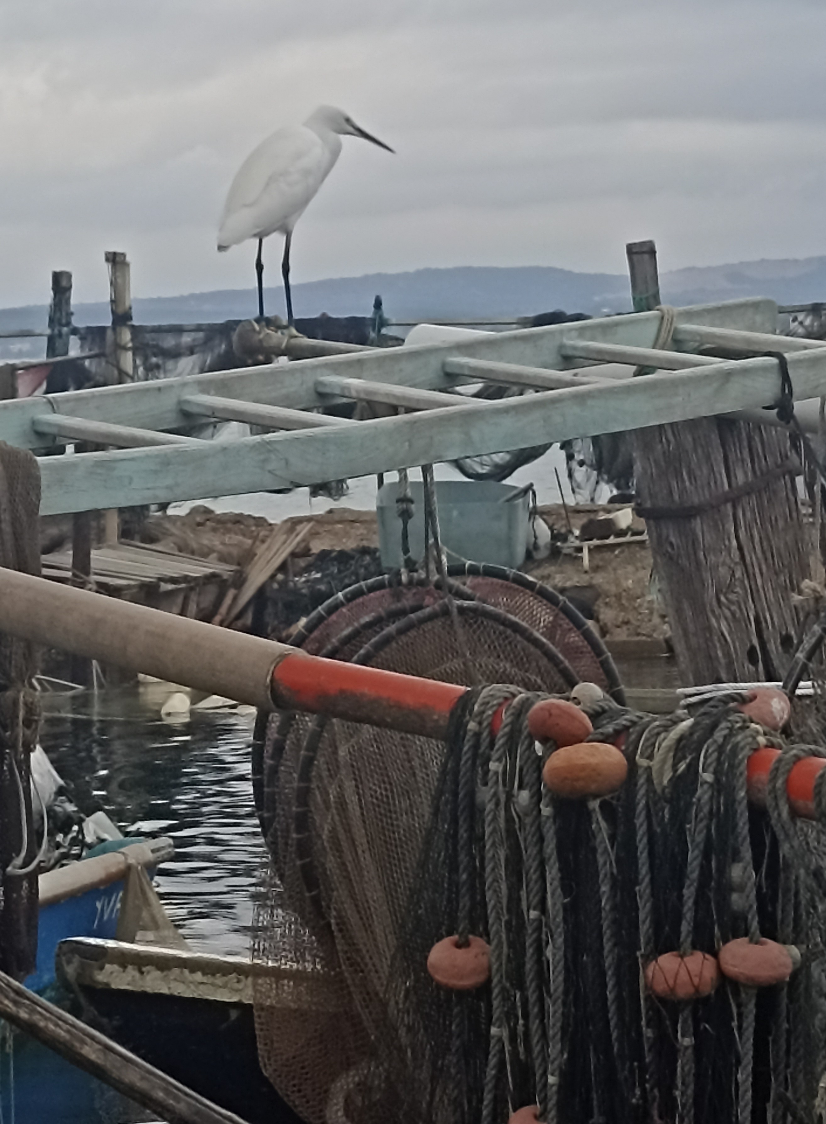 Photo n° 17 de l'avis de Laurence.a fait le 28/12/2023 à 17:41