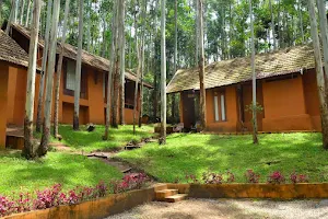 Sahari Mariental Jungle Resort, Vattavada, Munnar image