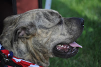 Shaver Road Animal Hospital - Photo 5 - Car repair in Portage, MI, Kalamazoo