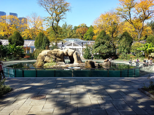 Zoo «Central Park Zoo», reviews and photos, E 64th St & 5th Ave, New York, NY 10021, USA