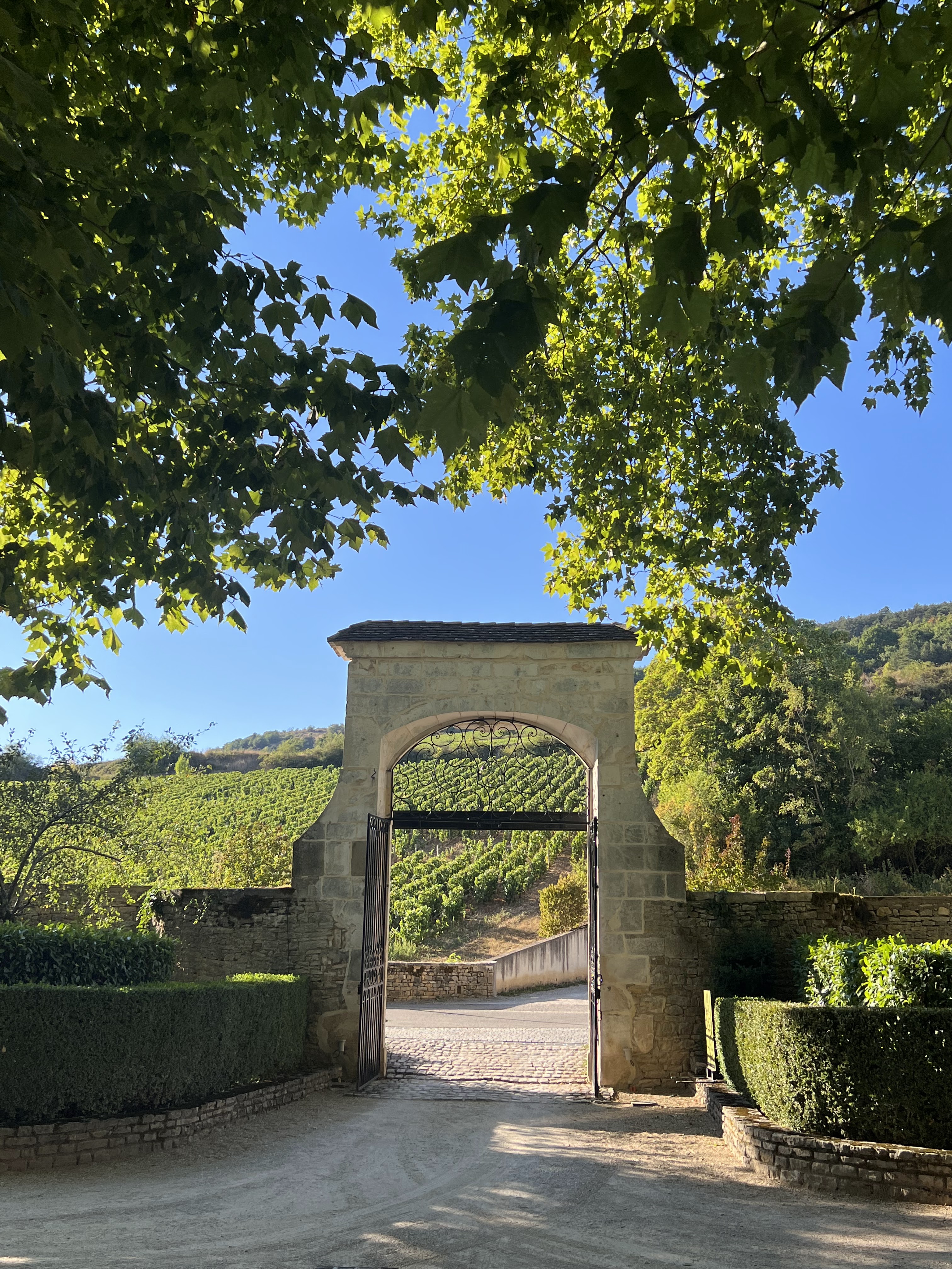 Photo n° 3 de l'avis de Gérard.o fait le 12/08/2022 à 18:03