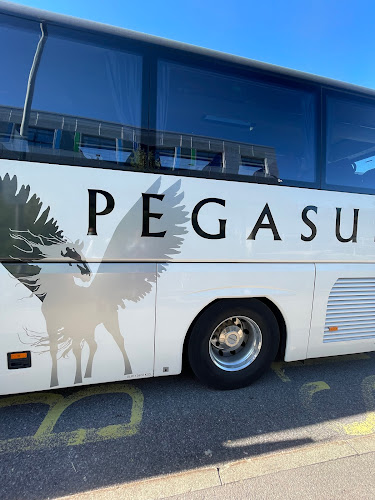 Pegasus Coaches Open Times
