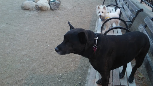 Park «Carl Schurz Park», reviews and photos, East 86th Street & East End Ave, New York, NY 10028, USA