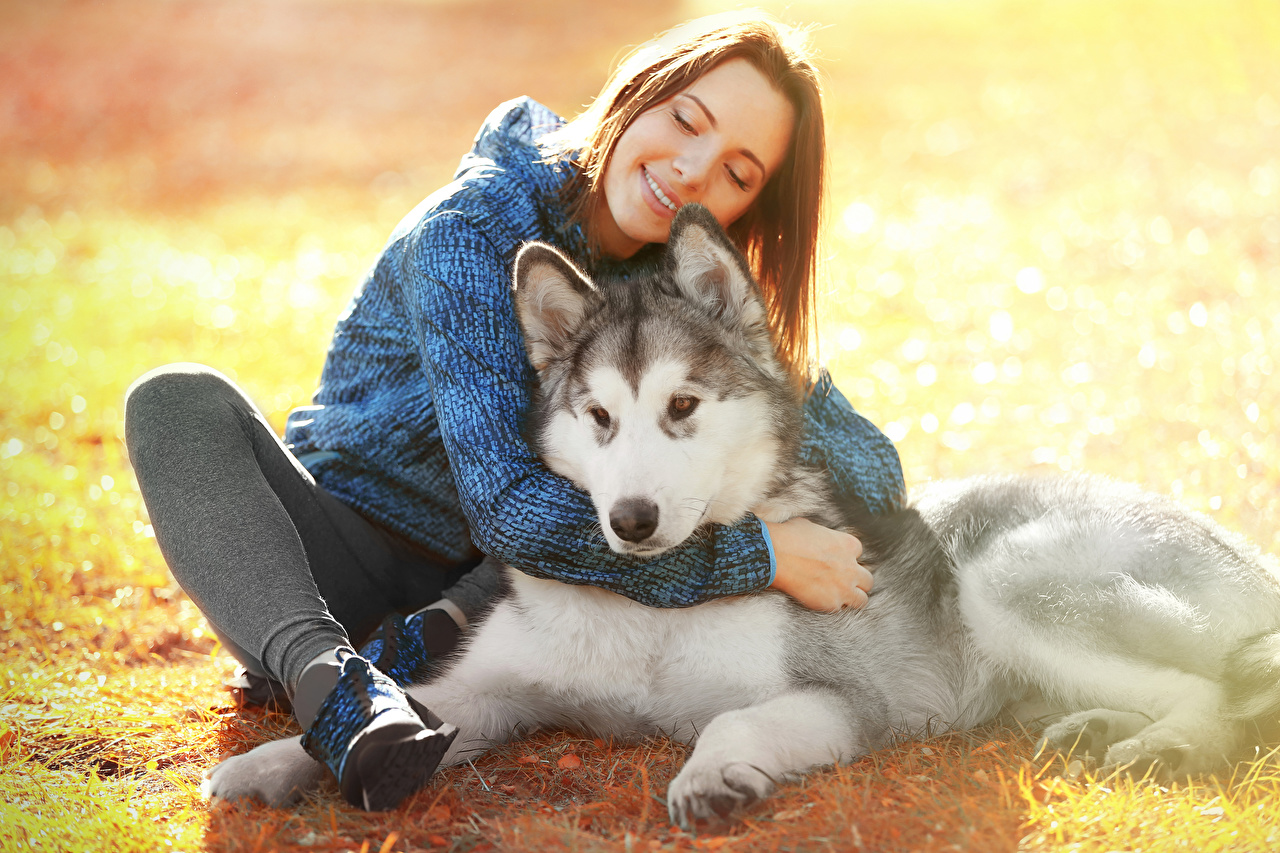 J&J Silver Husky Farm
