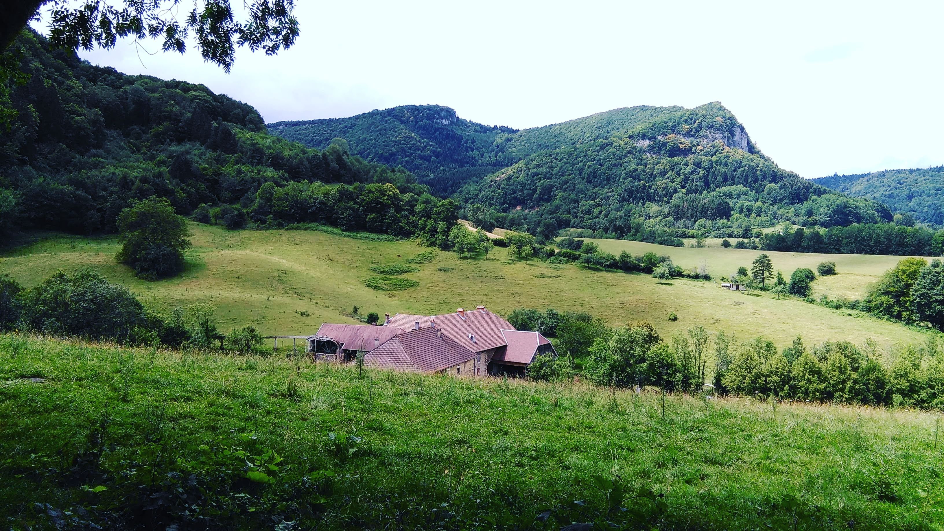 Photo n° 35 de l'avis de Stefe. fait le 05/07/2018 à 20:42