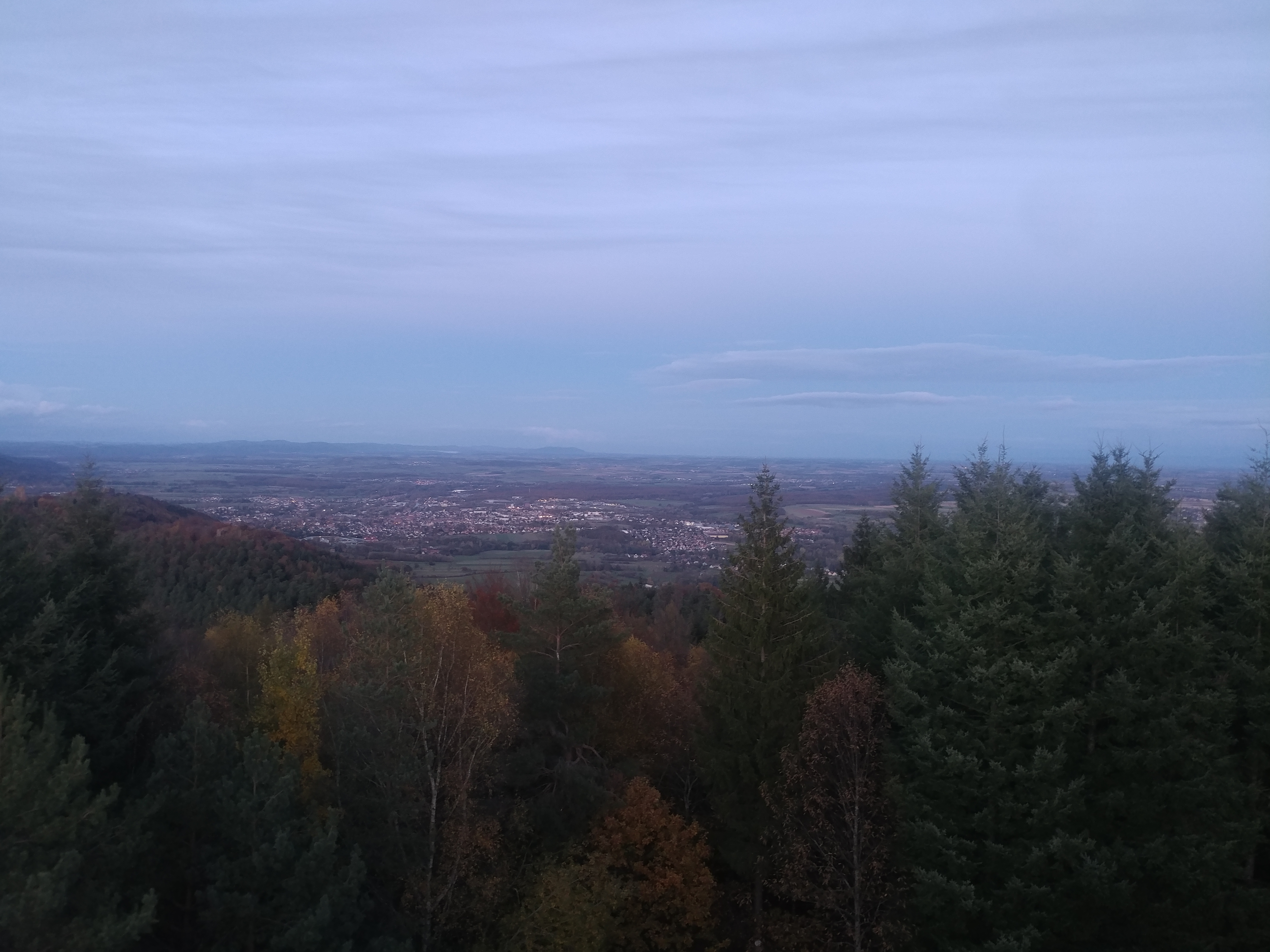Photo n° 1 de l'avis de fabrice.e fait le 02/11/2021 à 15:49